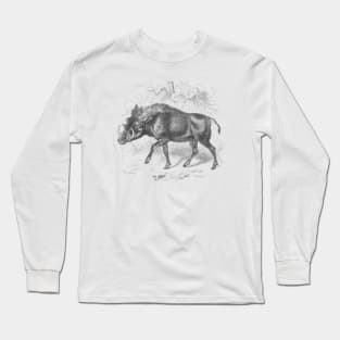 Warthog Vintage Nature Illustration Long Sleeve T-Shirt